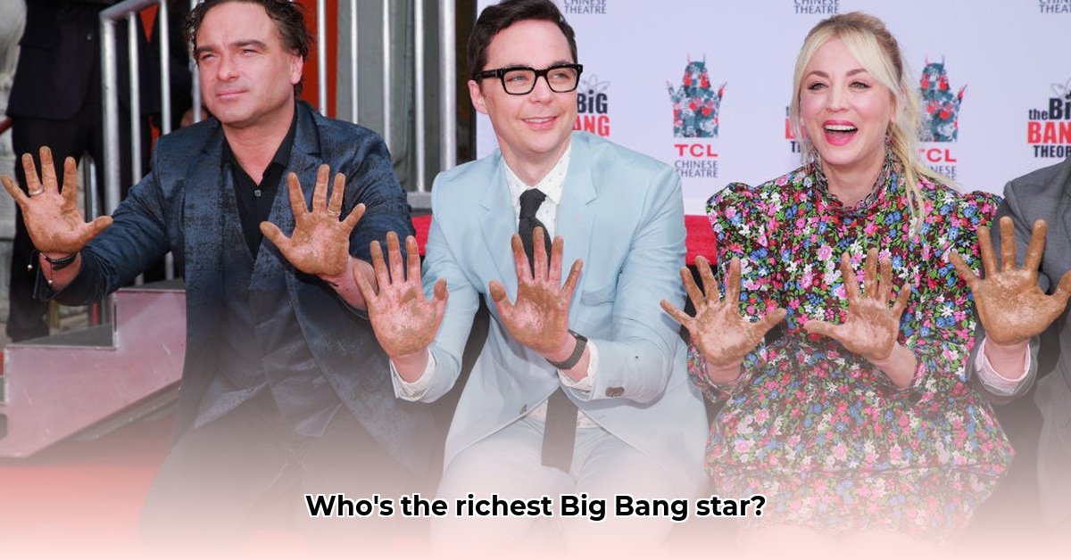 big-bang-theory-actors-net-worth